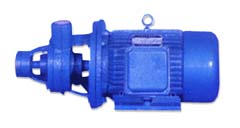 W 型系列旋渦泵